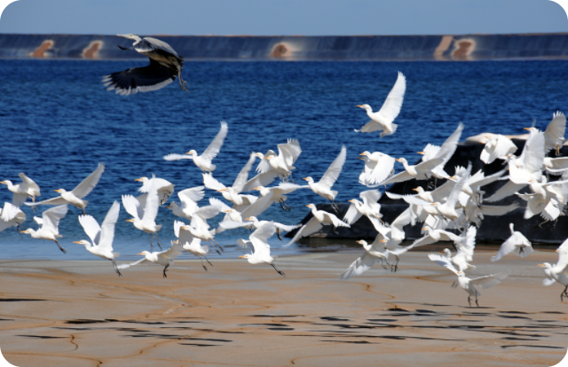 Comprehensive Wastewater Recycling–CNMC Luanshya Cop% Mines Plc.  (CLM) built Zambia's safest and most environmentally-compliant tailings facility.